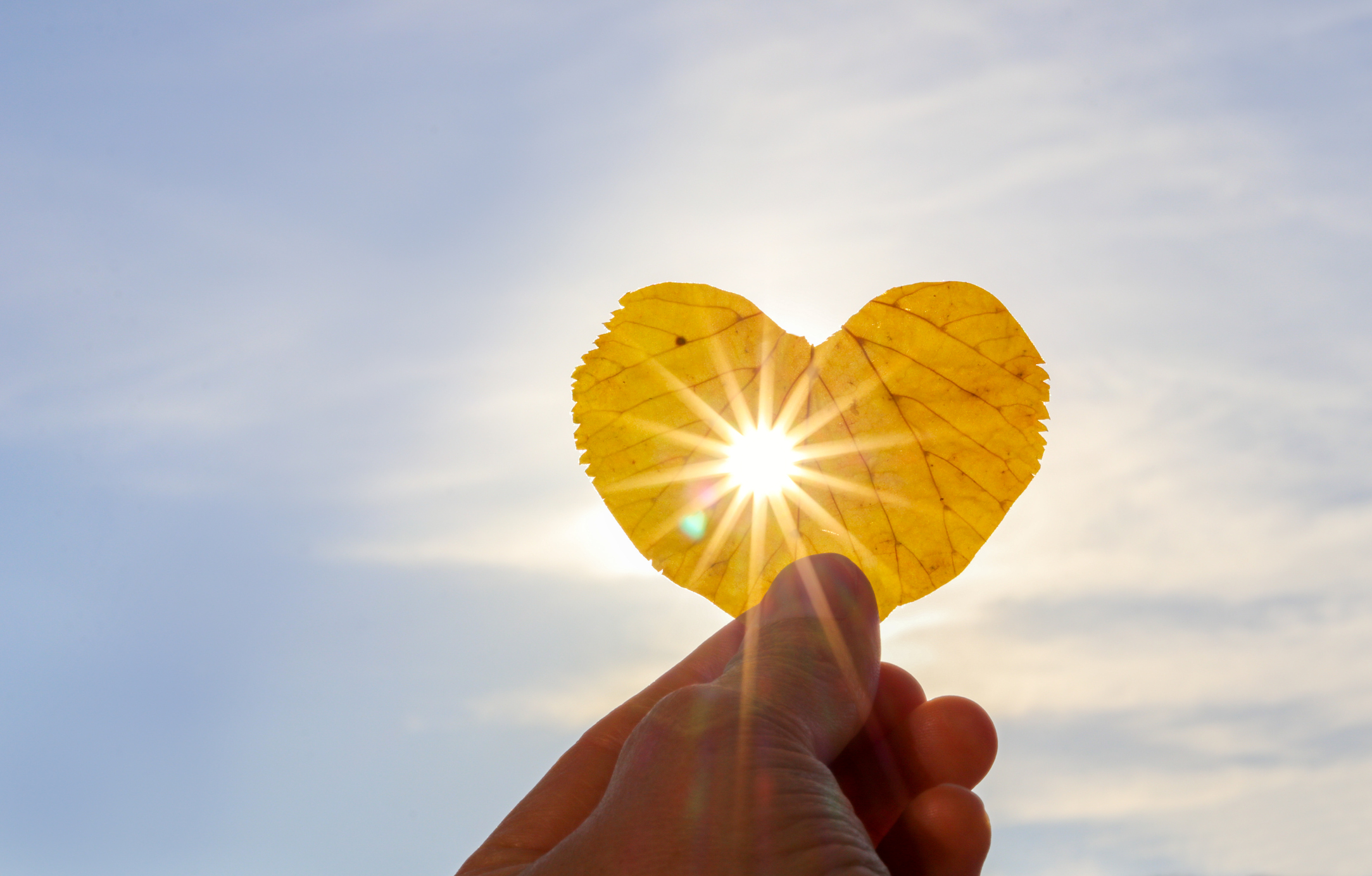 Sun in Heart Shaped Hands