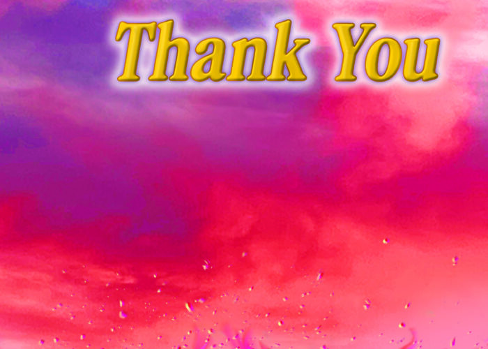 Infer-No, Thank You. | FRONT COVER